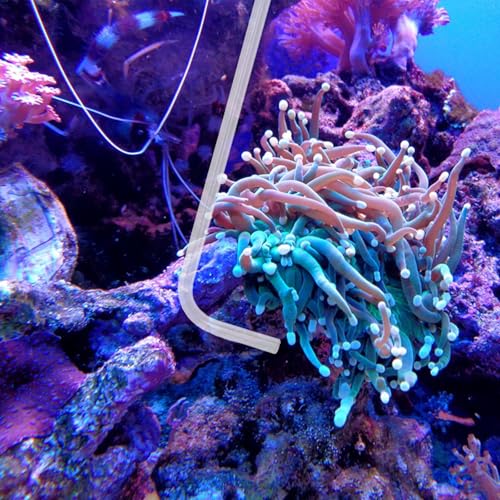 KABASI Waste Clean Tool Coral Fish Feeder, 50ml Manual Acrylic Pipette Suction Dropper with 2PCS Extension Pipes for Fish Tank Cleaning, Water Changer Waste Remover for Aquarium - color: Type B