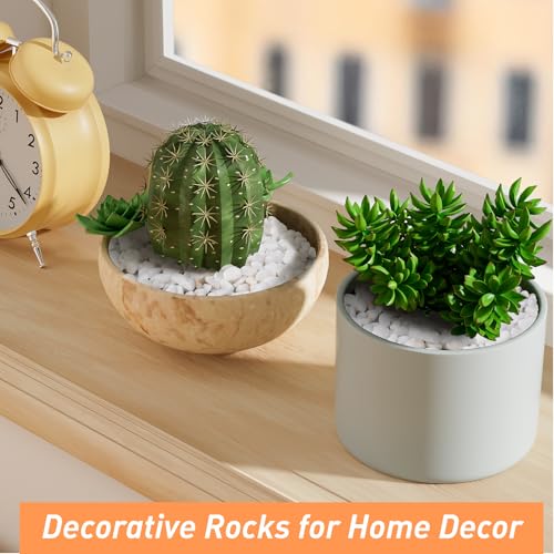 Pulovin 2.5 lbs White Aquarium Gravel, 1/5 Inch White Rocks for Plants, Small Pebbles for Vases, Succulents, Bamboo, Natural Decorative Pebbles for Plants Drainage, Cactus, Crafts - color: White