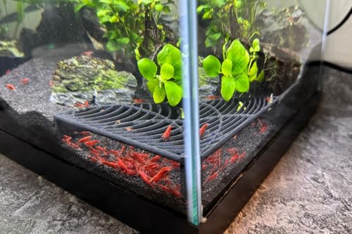 LifeWithPets Aquarium Shrimp Tank Decorations | Corner Shrimp Hide | Shrimp Cave | Breeding Shrimp Hide | Shrimp Tunnel - size: Corner Hide