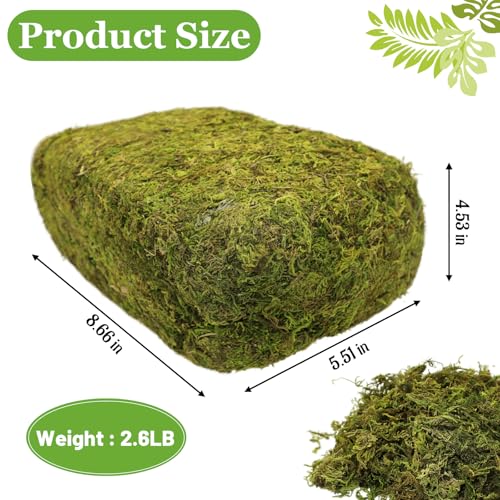 Riare 2.6LBS Artificial Fake Moss for Fake Plants Indoor- Premium Faux Craft Moss for Potted Plant, Fresh Forest Green Moss for Hamsters Micro-Landscape Terrariums Centerpieces Decor - color: 2.6 Lb