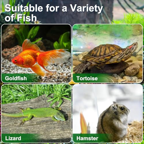 HANABASS Portable Fish Tank Handheld Aquarium with Handle Transparent Plastic Mini Fish Box for Turtle Hamster and Small Pets Compact 5.90X4.33X3.74 Inch Breeding Case Set of 4