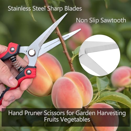 Gardening Scissors Hand Pruner Pruning Shear with Straight Stainless Steel Blades, Flower Cutter Garden Clippers, 8.1 Inch (Red) - color: Red