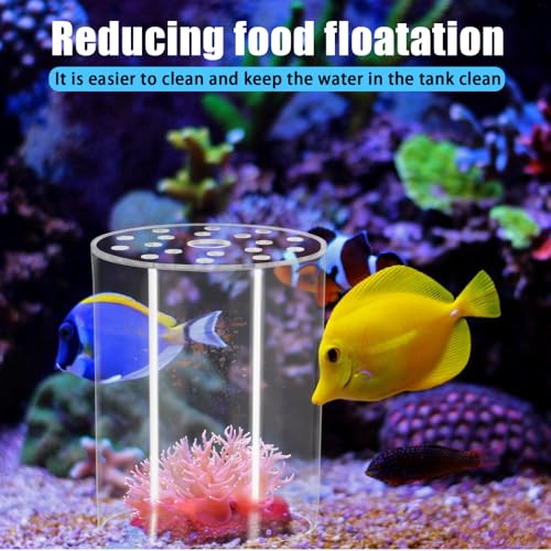 DONGKER Coral Feeder Cover, Transparent Acrylic Coral Breeding Protection Cover Avoid Food Floating Around for Aquarium Fish Tank(80mm,100mm,120mm) - size: CFC-100