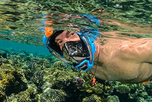OCEAN REEF - Aria QR + Quick Release Snorkeling Mask - Full Face Snorkeling Mask - 180 Degree Underwater Vision - 8 Colours and 4 Sizes - color: Blue, size: Small-Medium