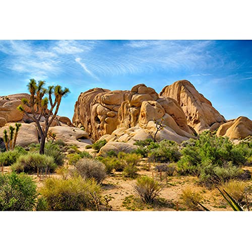 5x3ft Joshua Tree National Park Natural Photography Backdrop American Western Desert Weathering Rock Drought-Tolerant Plant Cactus Photo Event Party Background Portrait Photo Props Polyester - size: 5x3ft-P