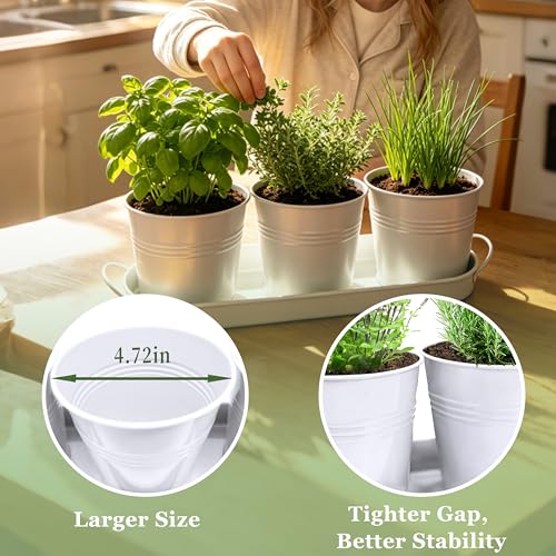 TCBWFY Indoor Herb Garden Planter Set - 3 Pack 4.7" White Metal Plant Pots with Drainage Holes & Removable Tray - Windowsill Kitchen Counter Balcony Office Garden - color: White