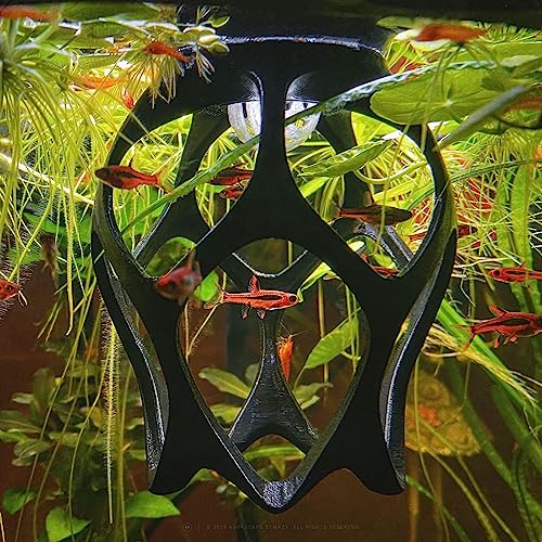 Betta Play Ground | Floating Hammock and Hiding Cave for Betta, Fish, Shrimp with Feeding Station – Swim-Through Aquarium Ornament and Tank Decoration (Baby Blue, Regular)