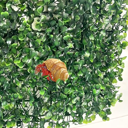 FMOACEN Hermit Crab Climbing Toys, Plastic Simulation Grass Aquarium Tank Decoration with 4 Suction Cups, Green Plants Supplies Fake Turf, Accessories for Reptile 10 x 10 Inch - color: 1 Pack