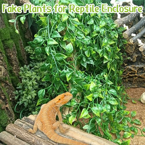 Hamiledyi Reptile Plants Tank Habitat Decorations Fake Hanging Vines 5 Pcs Artificial Leaves Habitat Decorations with Suction Cup for Bearded Dragon, Leopard Gecko, Lizard, Chameleon, Snake (Green) - size: 5 PCS - Style 4