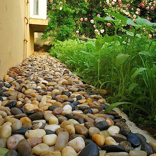 YISZM 5lbs Pebbles for Indoor Plants, 2-3 Inch Mixed Color High Polished Large River Rocks Outdoor Decorative Stones Vase Filler Fish Tank Aquariums Landscaping Garden Outdoor and Indoor DIY - color: Mixed Color, size: 5 Pounds