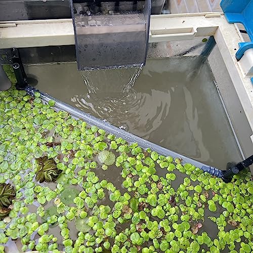 Floating Plant Fence for Aquarium, Separates Plants, Automatically Adjusts Height with Water Level, Suitable for Most Aquariums. (1 PCS) - style: 1 PCS