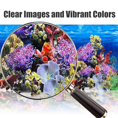 XCNO Fish Backgrounds Paper Double Sides Undersea Aquarium Background Poster Colorful Sea Anemone Fish Tank Background Sticker Decorations 16"x 33" - color: Coral Reef, size: 15.6" x 33" In