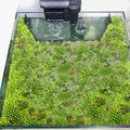 Floating Plant Corral for Aquarium, Fish Tank Accessories to Separate Floating Plants, Automatically Adjusts Height with Water Level, Suitable for All Floating Plants and All Aquariums (Style 1) - size: Style 1