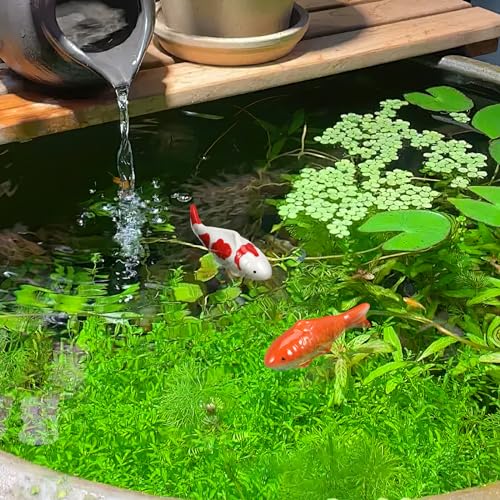 Abaodam Ceramic Floating Koi Fish Decor, 2PCS Realistic Glazed Fake Koi for Pond, Fountain, Bird Bath, Aquarium & Mini Water Garden, Floating Fish Ornament for Outdoor Water Decor