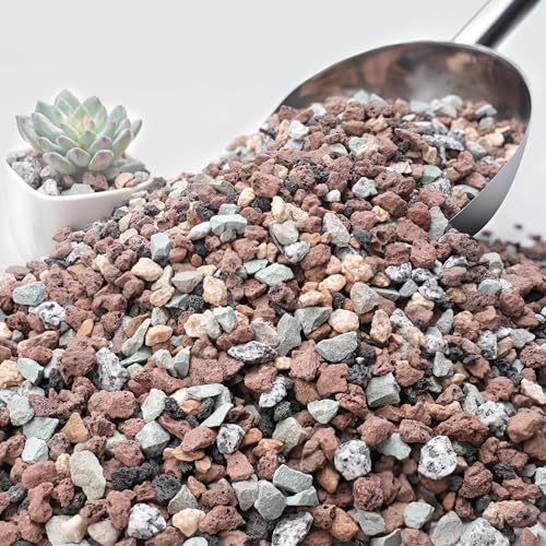 3lb Mix Horticultural Lava Rocks for Plants, 3/8" Colorful Succulent Potting Soil Amendments, Decorative Gravel for Cactus, Bonsai Gritty Rock, Pebbles Pumice for Vase Fillers, Top Dressing - color: Mixed, size: 3 Lb