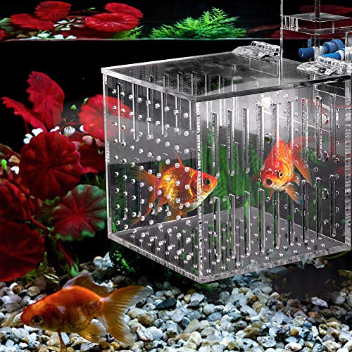 Fish Breeding Box, 4.13 * 4.13 * 4.13 inch Acrylic Fish Isolation Box with Suction Cups, Aquarium Acclimation Hatchery Incubator Fish Tank Multifunctional Acrylic High Clear Fish