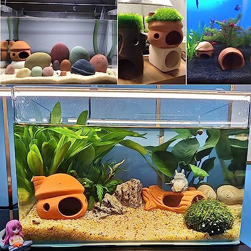 Betta Fish Tank Accessories,Pleco Caves for Aquarium,Fish Aquarium Decoration,Smalland Shrimp Breeding Cave Don't Contain Paint,Natural Ceramics Mushroom House
