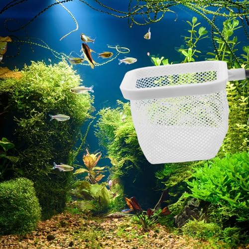 Totority Fish Tank Breeder Net with Suction Cups Durable Isolation Box for Shrimp and Betta Fish Easy Installation and Cleaning Spawning and Protection of Newborns