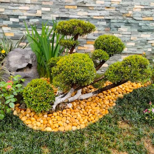 YISZM 10lbs Yellow River Rocks, 1-2 Inch Natural Pebbles for Indoor Plants, High Polished Decorative Stones Vase Filler Fish Tank Aquariums Landscaping Garden - color: Yellow, size: 10 Pounds