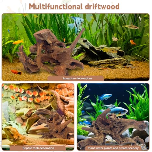 PINVNBY Natural Driftwood for Aquarium Fish Tank Decorations Assorted Branches Bearded Dragon Tank Accessories Terrarium Decor (6.5-12 inches/4 Pack) - size: M:Mopani Driftwood (6.5 - 12 inches/4 Pack)