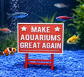 Aquarium Decor Make Aquariums Great Again