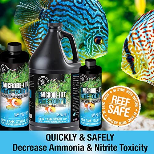 MICROBE-LIFT Nite-Out II Aquarium Bacteria for Start-up, Instantly Cycle Aquariums, Add Fish on Day 1, Rapid Ammonia and Nitrite Reducer for Freshwater & Saltwater Fish Tank, 8 Ounces (NITEH08) - size: 8 Ounces