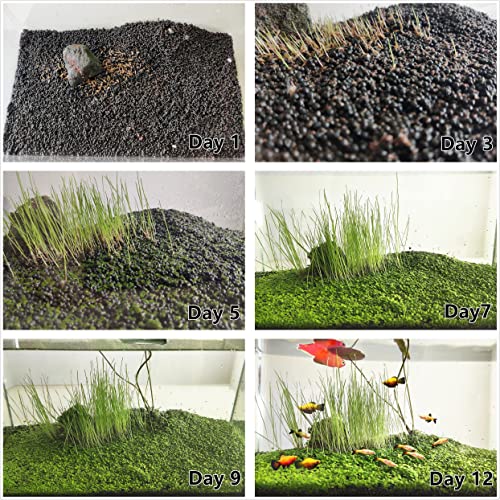 3 Aquarium Plants Set, (0.36ozTiny+0.36oz Long+0.36oz Short) Fresh Water Replacement for artificial, not Plastic, 3 types (0.36ozTiny+0.36oz Long+0.36oz Short) 28ABC, Green