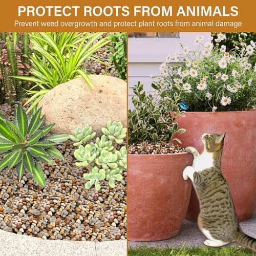 NUPICK 3lb River Rocks for Plants Indoor, 1/5 Inch Mixed Pebbles for Vase Fillers, Decorative Pea Gravel for Fish Tank, Natural Polished Stones for Succulent, Bonsai, Landscaping, Bird Baths - color: MIX, size: 3Lb(1/5")