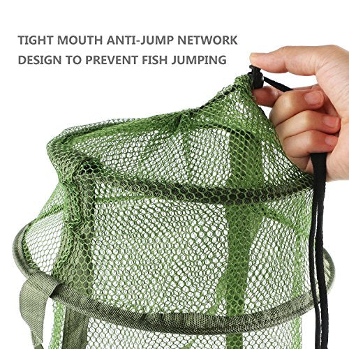 Collapsible Fish Basket Mesh Fish Trap Portable Fish Cage Foldable Fishing Keep Net for Keeping Fish Alive, Bait Storage Crayfish Crab Minnows Shrimps Lobsters - color: Green