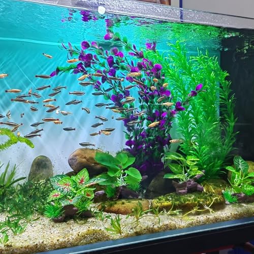 20.47 Inch Tall Aquarium Plants – Large Lifelike Artificial Fish Tank Decorations, 2 Pcs Fish Tank Plants Plastic, Durable & Safe for Freshwater/Saltwater Aquariums (Green (Style D)) - color: Green (Style D)