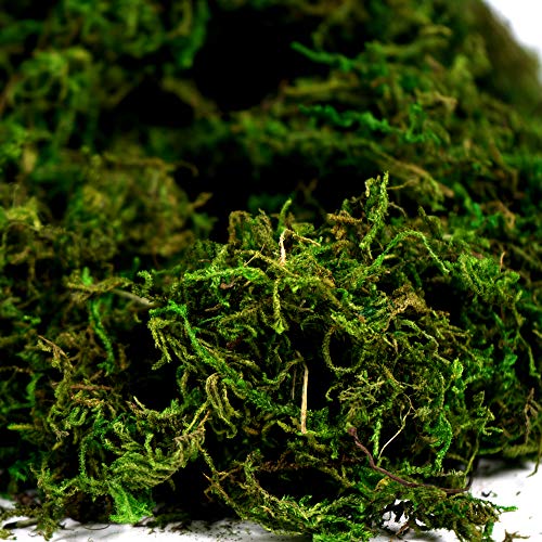 Artificial Moss Fake Green Grass for Centerpieces Home Kitchen Garden Decor (3.5OZ, Fresh) - color: 3.5oz, Fresh