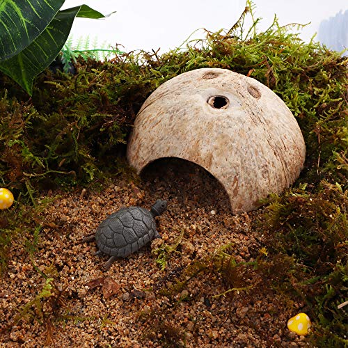 2 Pack Spider Coconut Shell Shelter, Hermit Crab Hideout, Lizard Hiding Cave, Turtle Rest Hut, Fish Tank Aquarium Decoration