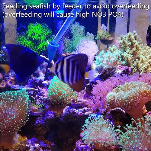 Aquarium Choice Coral Feeder Long Syringe, 2 Units, SPS HPS Marine Reef Coral Feeder Tool, 2 Tweezers for Coral Frag, Fish Excreta Cleaner - size: 2 units coral feeder and 2 units tweezers