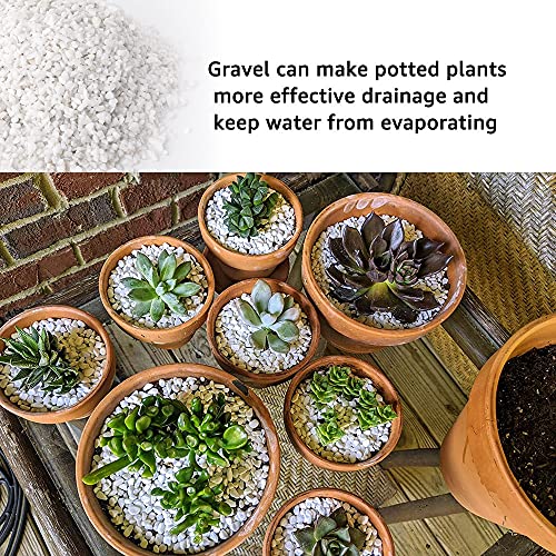 18lb White Cactus Pea Gravel Rocks,1/4 Inch Pebbles for Indoor Plants, Natural Succulent Rock and River Rocks Decorative for Aquariums, Vases, Outdoor Gardening, Top Dressing for Potted Plants - color: White Onyx, size: 18LB