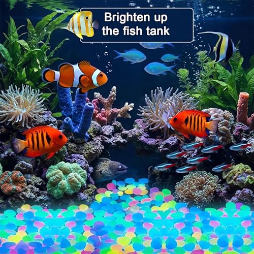 2026 Colorful Glow-in-the-Dark Garden Stones Night Guide Luminous Pebbles Rainbow Glow in the Dark Stepping Rocks Outdoor Landscaping Decor Glowing Stones Fish Tank Aquarium Decorations (200, Yellow) - color: Yellow