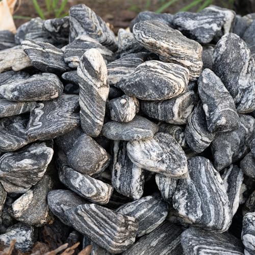 Natural Fish Tank Stones Aquarium Rocks 10lb Silver Seiryu Rock for Aquascaping, Terrariums, Bonsai, Garden Landscaping & Reptile Habitats(2-7inch 5-6Pcs) - size: 10lb (2-7inch)
