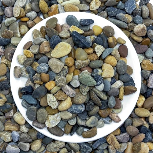 SIDONG 5LB Natural Aquarium Gravel, Small River Rocks for Fish Tank, Garden & Vase Decor - 2/5 Inch Pea Gravel, 8-12mm Polished Stones for Landscaping, Potted Plants, Terrarium - color: 5lb, size: 8-12mm