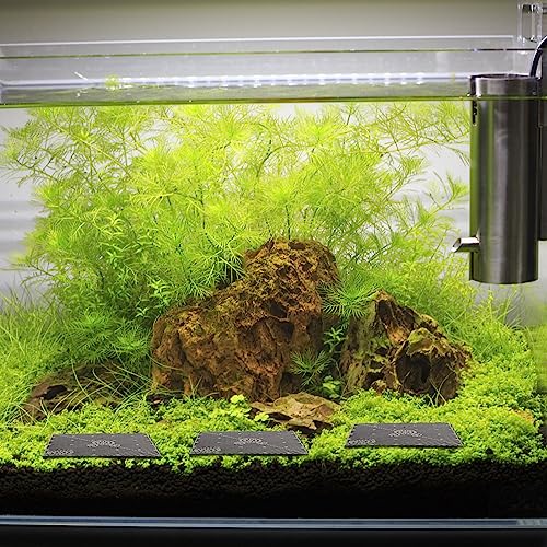 Baluue 20pcs Fish Tank Bottom, PVC Plate Splicing Aquarium Divider Bottom Grid Sand Gravel Board Splicing Combination Clapboard Bottom Grid