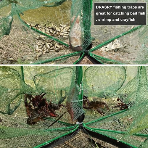Drasry Black Fishing Bait Trap Foldable Fish Net for Minnow Crab Crayfish Crawdad Shrimp Trap Cast Net Dip Cage Collapsible Easy Use 4 6 Hole Fishing Accessories - color: green, size: 27.6*10.2 in（ 70*26 cm）, style: 1pcs 4 Entrance Holes