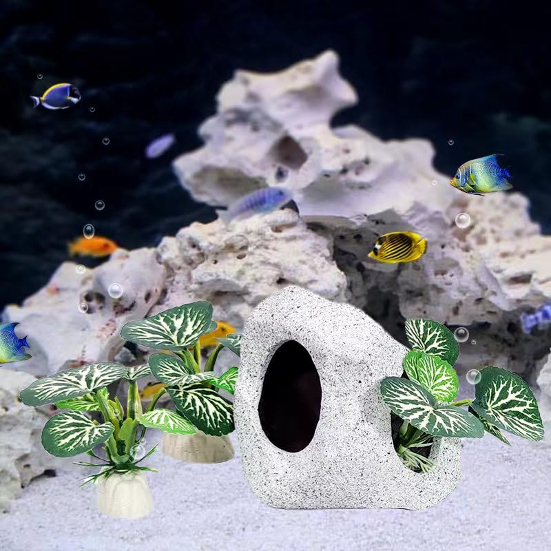 Fish Aquarium Decorations Cave Hide with Viewing Window for Betta Fish Tank Decor - color: Green 3
