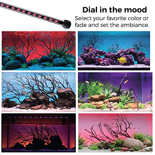 CURRENT USA 48" Serene Aquarium LED Background Light Kit | Fish Tank Lighting Backdrop Decoration Black 3D 40, 55, 75, 90 Gallon Tank (3153) - size: 48"-60"