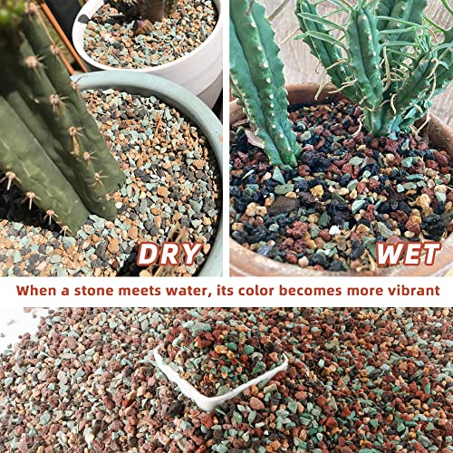 2.4lb Mix Horticultural Lava Rock Pebbles Pumice Potting Soil Amendment Succulent Cactus Bonsai Gritty Rock Decorative Gravel Plant Drainage Volcanic Rock for Aquarium Fairy Gardening Top Dressing - color: Mix Pebbles, size: 2.4LB