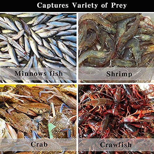 Drasry Saltwater Fishing Cast Net for Bait 3/8 1/4 or 1/2 with Heavy Sinkers Fish Trap Throw Net. Size 3ft/4ft/5ft/6ft/7ft/8ft/9ft/10ft Radius Freshwater Nets - size: 5FT (150cm) Radius, style: Pvc-0.3mm Mono 3/8mesh