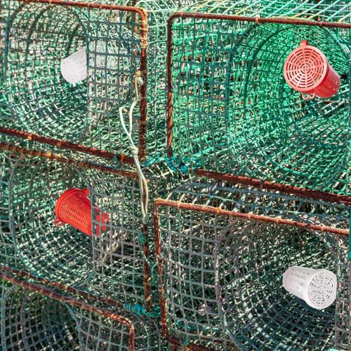 20 Pcs Fishing Bait Cage Trap Fish Lure Feeder Basket Holder Plastic Bait Bucket for Crawfish Minnow Shrimp Earthworm Crab Carp Catfish Traps Cast Net