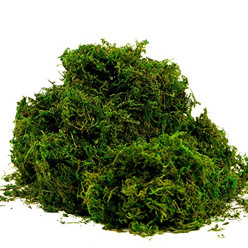 Artificial Moss Fake Green Grass for Centerpieces Home Kitchen Garden Decor (8OZ, Fresh) - color: 8oz, Fresh