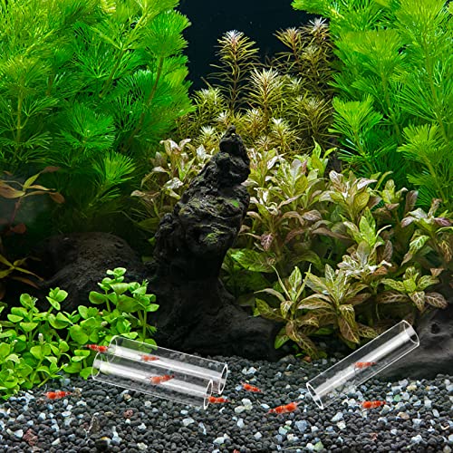 3-Tube Fish Shrimp Feeder - Acrylic Transparent Breeding Tube & Shelter for Aquarium Fish Tank Decorations - size: 3-hole