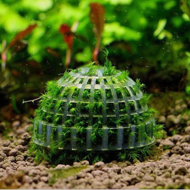 3 Pack Aquarium Moss Ball Holder, Hollow-Designed Plastic Plant Holder with Filter Stone for Shrimp & Fish Tank Decorations