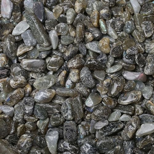 LAIDANLA Labradorite 1lb Crystal Polished Tumbled Stones Irregular Shaped Crystal Chips Bulk Natural Gemstone Aquarium Gravel Rocks Vase Filler Fish Tank Gravel Home Decoration - color: Labradorite, size: 1 Pound-（0.28"-0.35"）