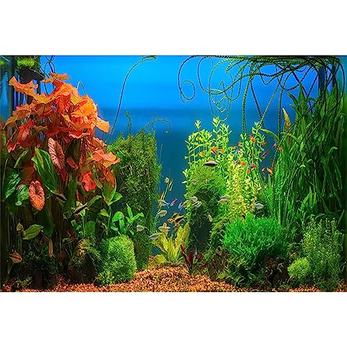 AOFOTO 5x3ft Aquarium Backdrop Decoration Blue Ocean Fish Deep Water Plants Seabed Scene Underwater Scene Background for Photography Kids Adults Birthday Party Events Photo Studio Props Vinyl - size: 5x3ft