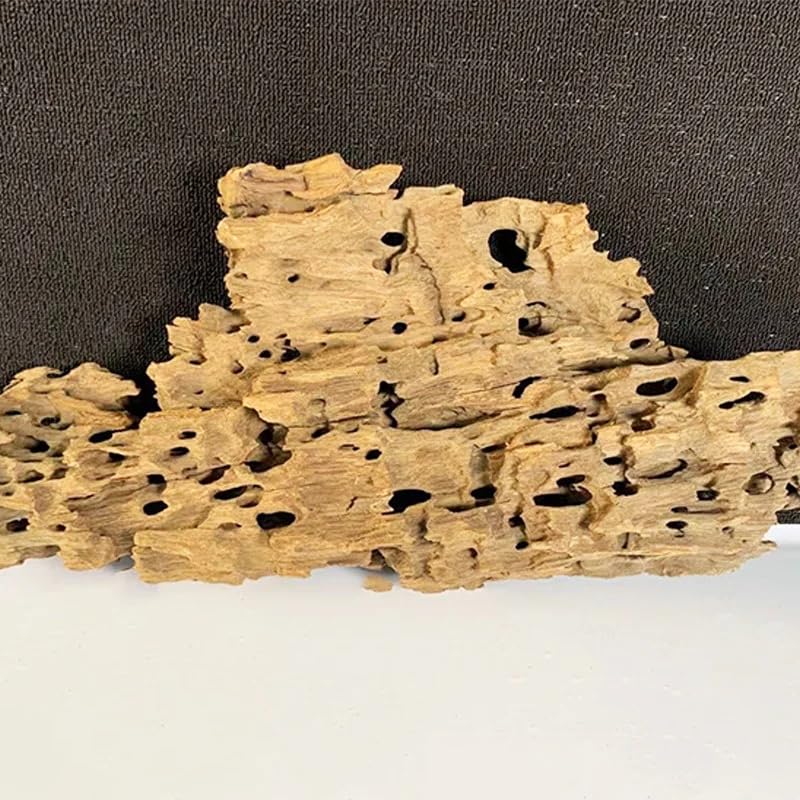 Fish Tank Natural Porous Wood Driftwood Ornament for Aquarium Decoration Hermit Crabs Shrimp Fish Aquarium Accessories… (15-20cm) - color: 15-20cm